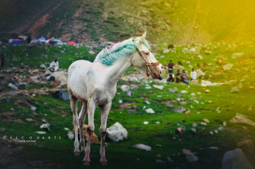 umeryounas27's tweet photo. Photography by Umer ☹️ https://t.co/F1N2pgiP8B