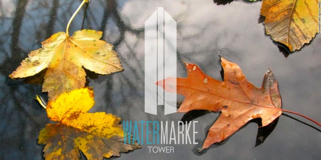 Happy first day of Fall <a href="/watermarketower/">Watermarke Tower</a> #dtla #fall #autumn #seasons