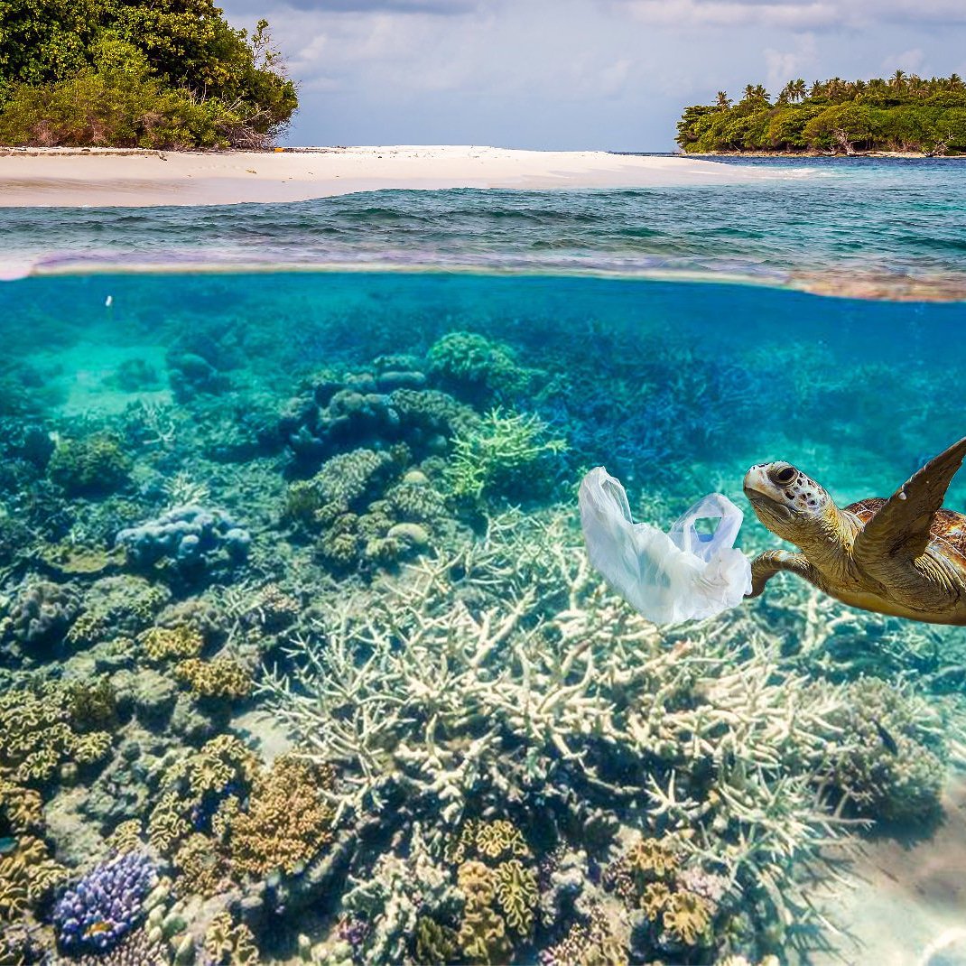 Don't let our single use needs cause long term damage. If there is demand then there is no supply. 👣🌍 
.
.
 #saynotoplastic #plasticfree #Hemp #lifestyle #greenpeace #SaturdayMotivation #ecofriendly #environment