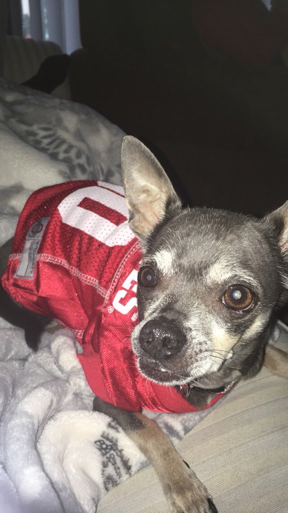 alliebudd64's tweet photo. @OhioState @OhioStateFB https://t.co/AzCA7Ce6fp