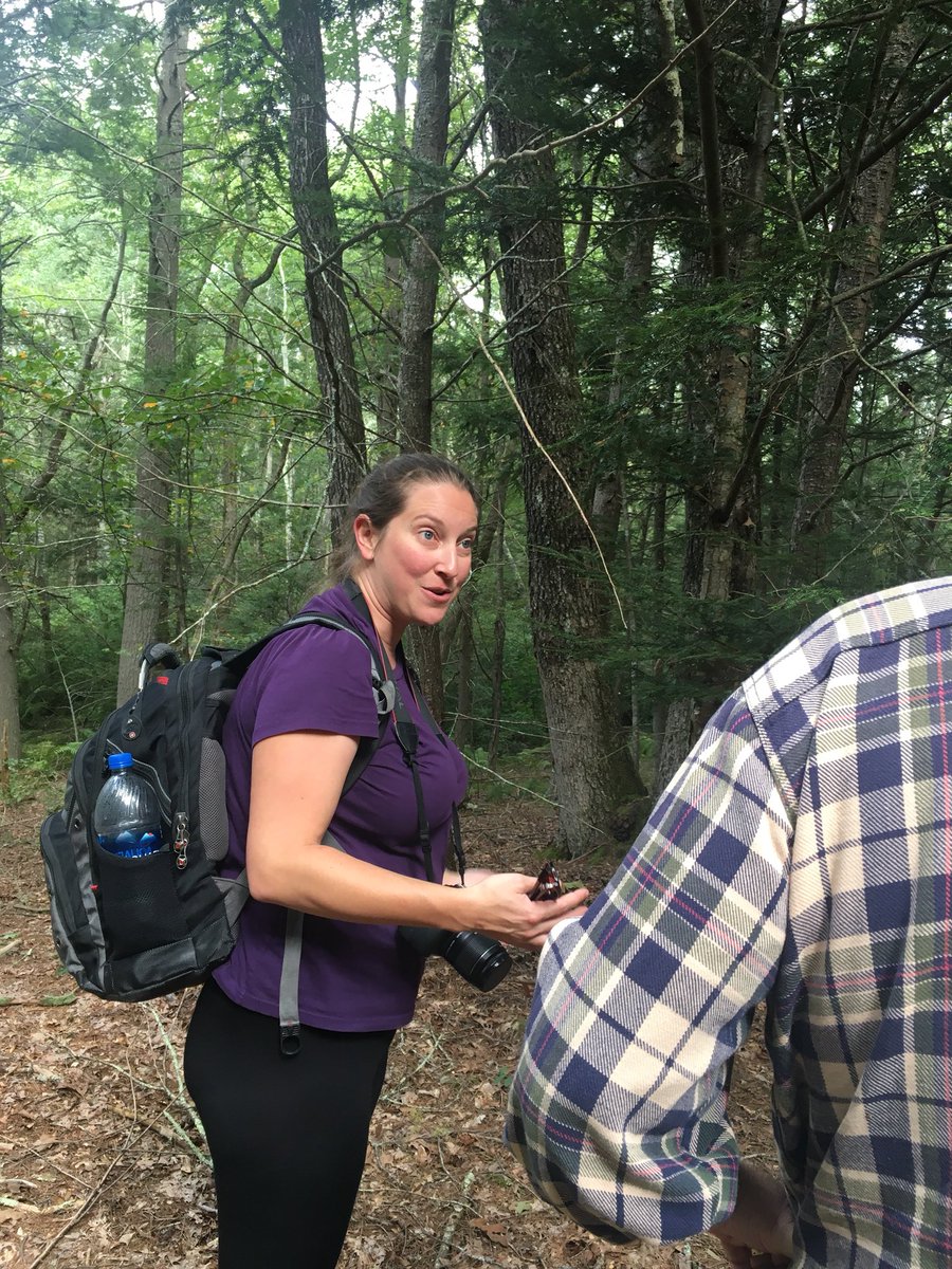 PachaugFriends's tweet photo. In honor of this day, visitors of #Pachaug joined National Park Ranger, Bob Panko and ecologist, Becky Panko @PlantCityEvo to explore the National Landmark of Great Meadows Swamp in #Pachaug! #cedar #MossVariety #FernGully #Landb4Time https://t.co/4BimioFT3P
