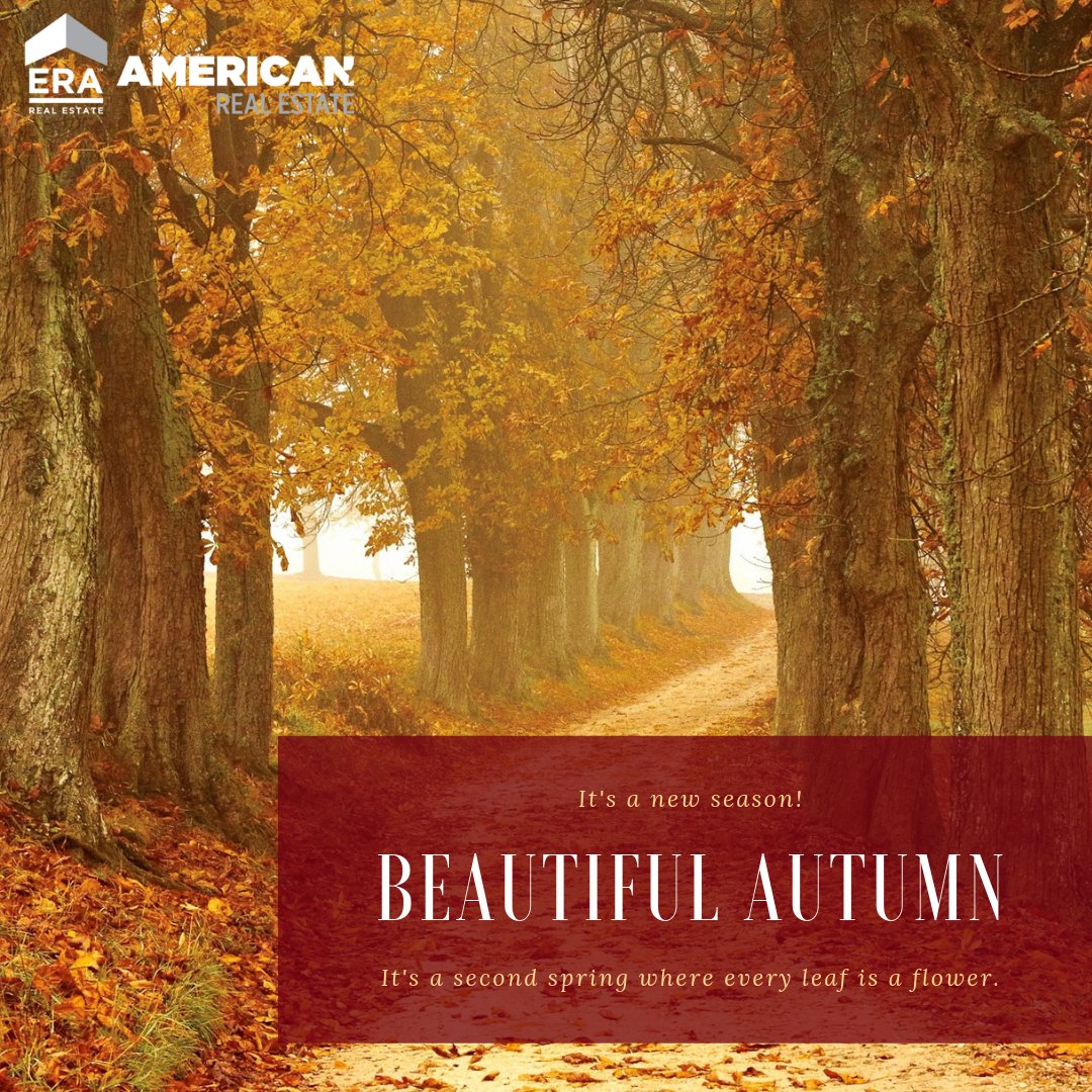 Zeeisthekey's tweet photo. Happy first day of Fall!

#ZeeIsTheKey #CLTRE #TeamERA #FirstDayOfFall https://t.co/nJRoVQMR93
