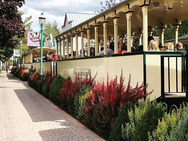 Get out to @silverwoodthemepark for Community Appreciation Days Sept 22 &amp; 23! For every general admission sold, $4 goes to local food banks!
...
#silverwoodthemepark #silverwood #donation #foodbanks #communityappreciationday #communityappreciation #timberterror #tremorsrolle…