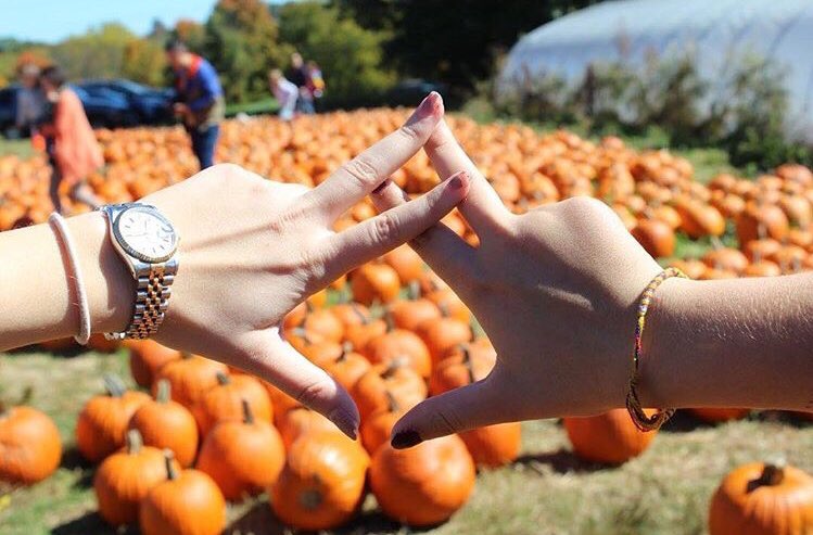Happy #FirstDayOfFall!🎃
📸: <a href="/axocolumbia/">CU Alpha Chi Omega</a>