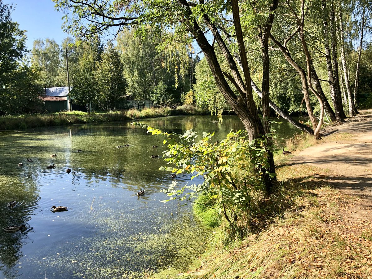 SAStepanov's tweet photo. Прекрасные сентябрьские дни! Солнечно и тепло! Даже не хочется представлять, что может быть иначе. Говорят такого тёплого сентября не было в Москве уже больше 💯 лет! Если это результат потепл��ния климата на земле, то мне так это даже нравится. 😜 #осень2018 #осеньвмоскве https://t.co/KbBPIuyS3p
