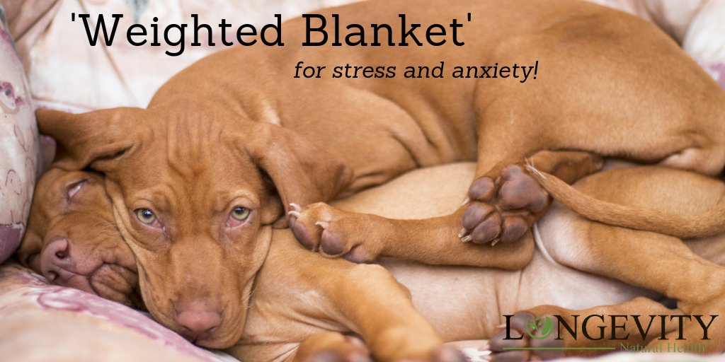 LongevityNH's tweet image. You think this looks cuddly? You should try our minky soft and luxurious weighted blanket and with an extra $10 off the price, it's even more snuggalicious! ow.ly/VwR930lVKrw