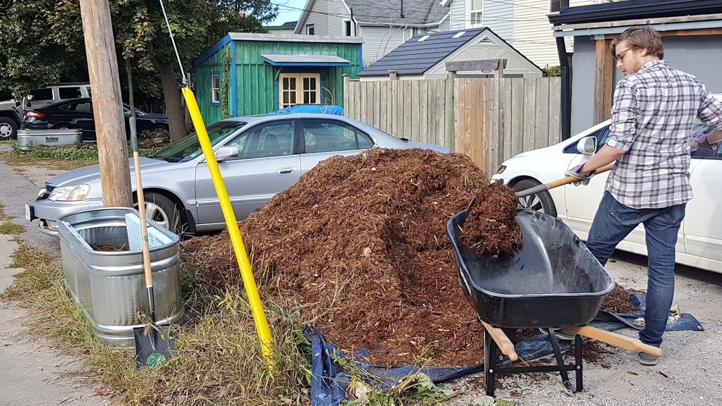 lanewayproject's tweet image. Today we're building trelaces and filling planters in four #DanforthEast laneways thanks to #section37 funding 🌱🌿
@mary_margaret32 #lanewaygreening #urbangardening #lovethelaneways