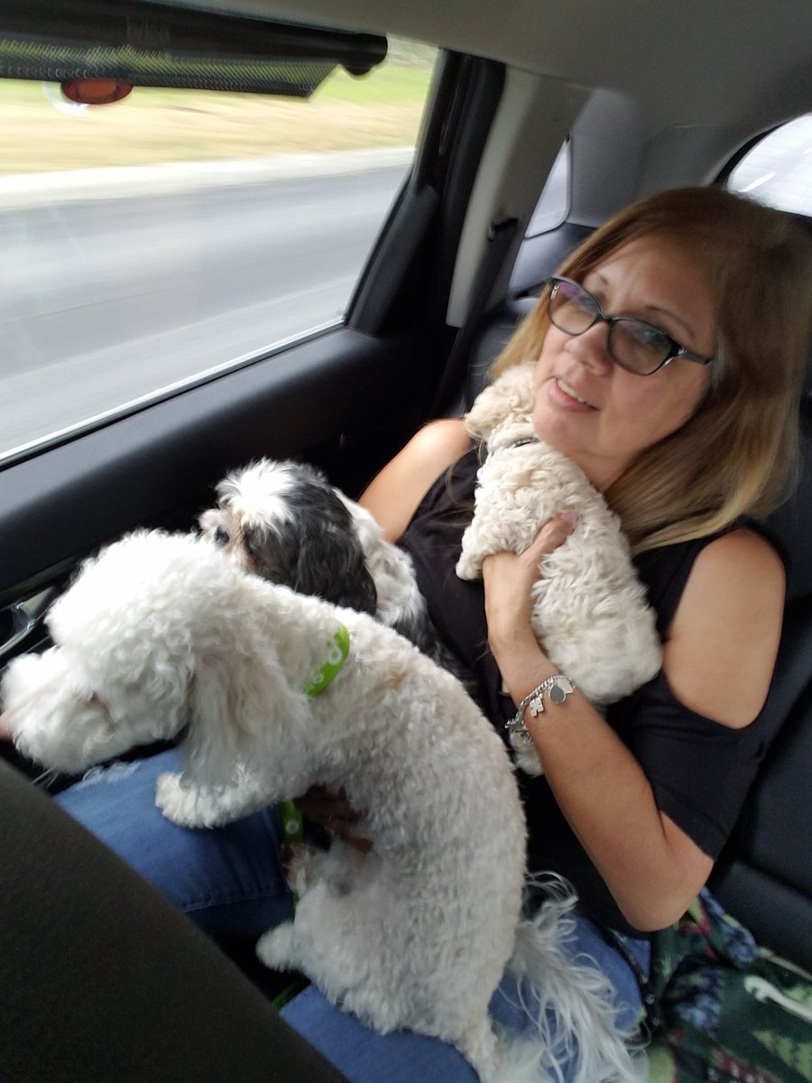 She said never again will we schedule all 3 for the vet at the same time