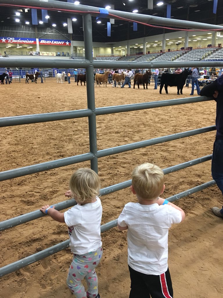 TiffDowell's tweet photo. “Mama! There are cows at this sheep show.” - Braun making his mama proud! #countrykid #farmkid #sheepkid #stockshowlife https://t.co/uo0AQFWdlM