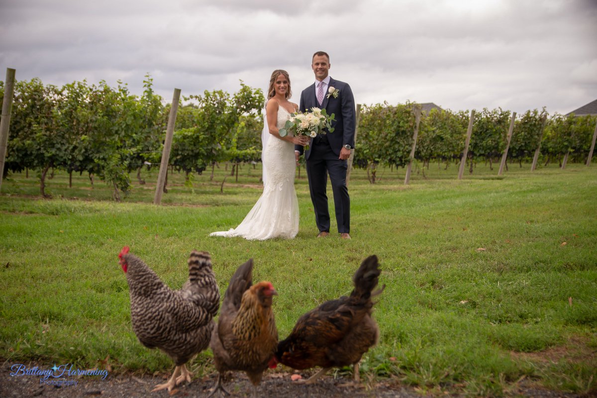 Best photo bomb ever!!
.
.
Venue: Rode's Barn
Portrait Location: Wagonhouse Winery

#brittanyharmeningphotography #njweddingphotographer #weddingwirephotographer #theknotphotographer #njbride #newjerseybride