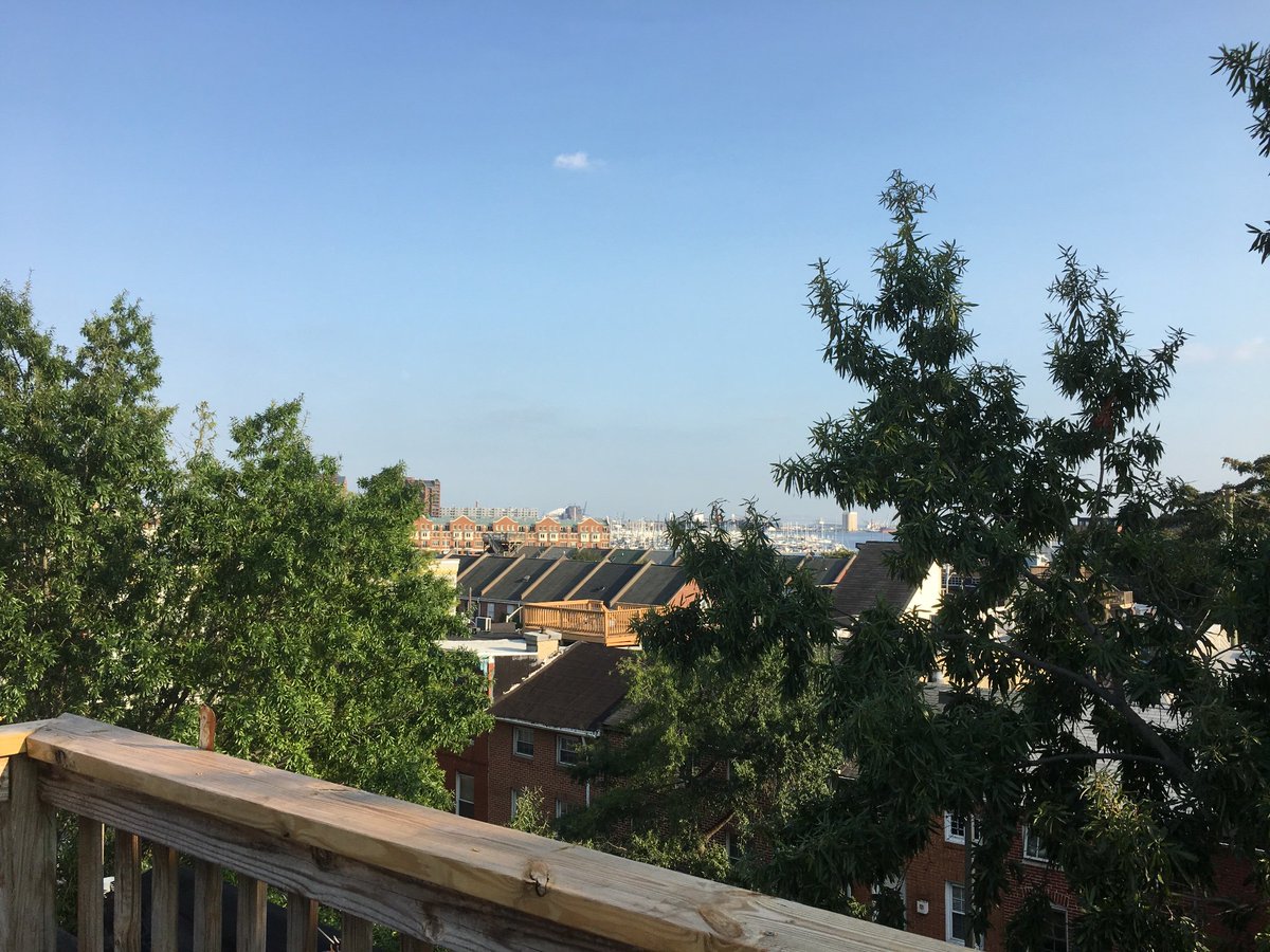 FellsPoint Watch tweet media