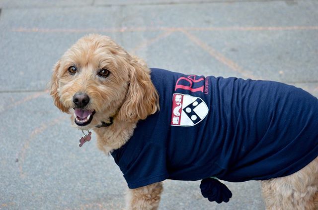 The best-dressed pup we’ve seen all week. #penn ift.tt/2MVcHsd