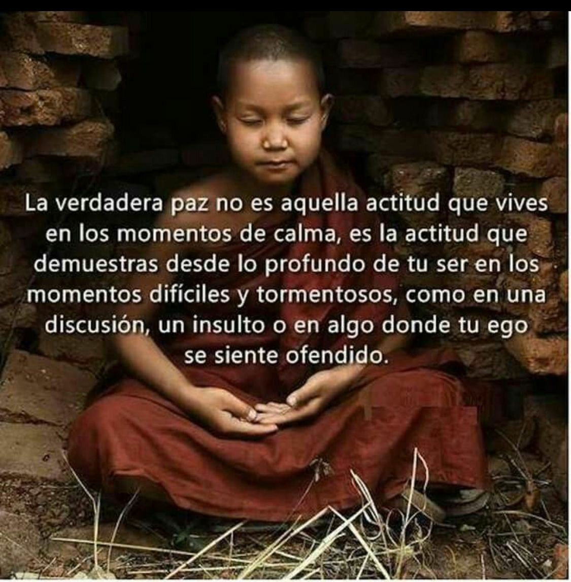 AEPY_social's tweet photo. La verdadera paz #pace #yoga #aepy https://t.co/mKXSGt2DD2