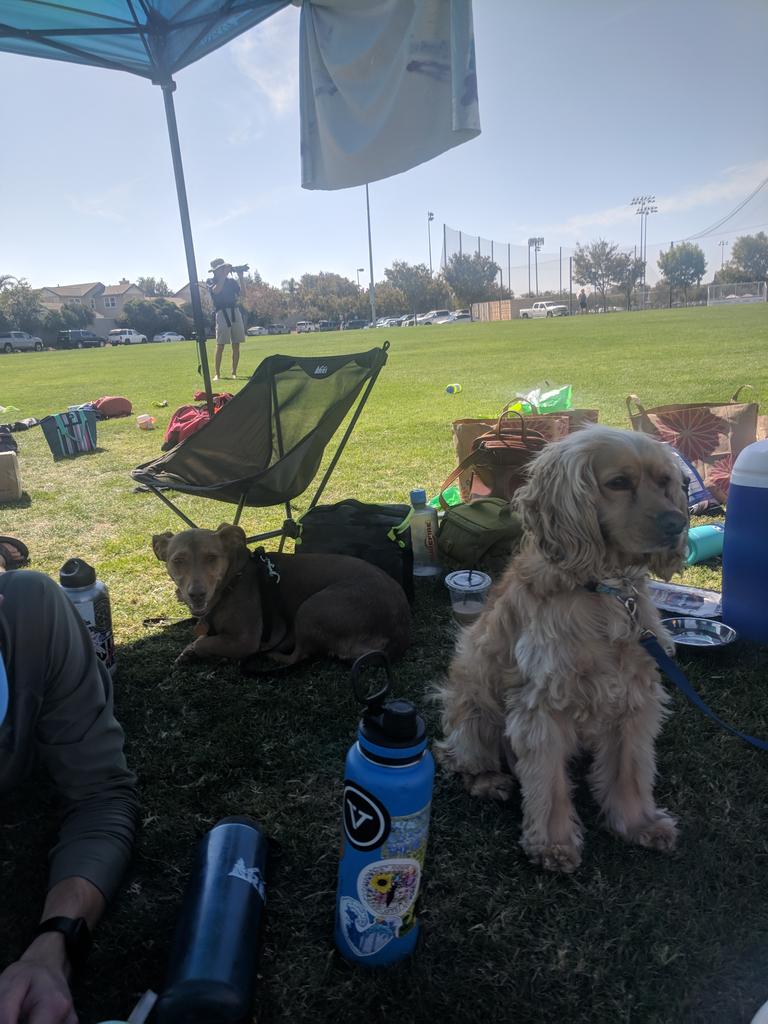 FAB Ultimate tweet media