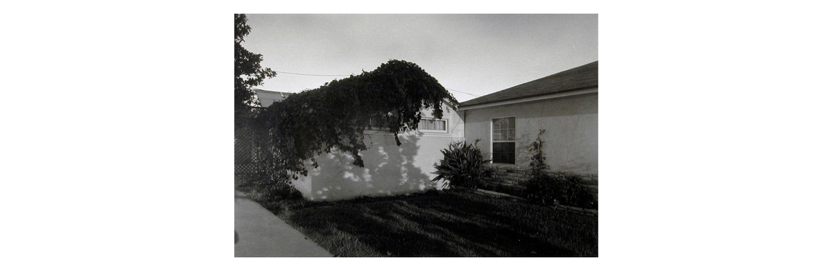 R_Kleinberg's tweet photo. Henry Wessel

https://t.co/26o4I5lmFR
https://t.co/6o0nxjdpPT https://t.co/09cH2dTBaV