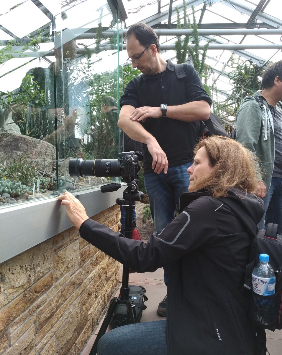 #pixxel2go heute beim Intensiv-Makro-Kurs in der Wilhelma - toll motivierte Teilnehmende, hat großen Spaß gemacht!