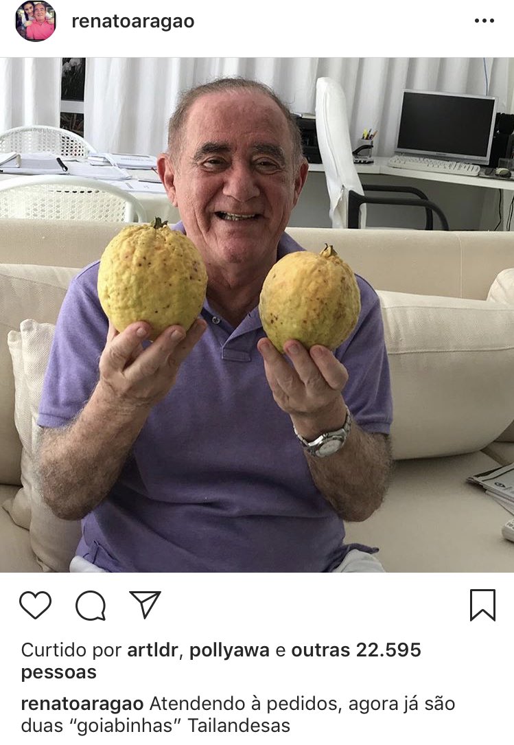 heroinadolixo's tweet photo. a coisa mais fofa é o didi no instagram comemorando os cultivos na horta dele https://t.co/DqKp0pAd6N