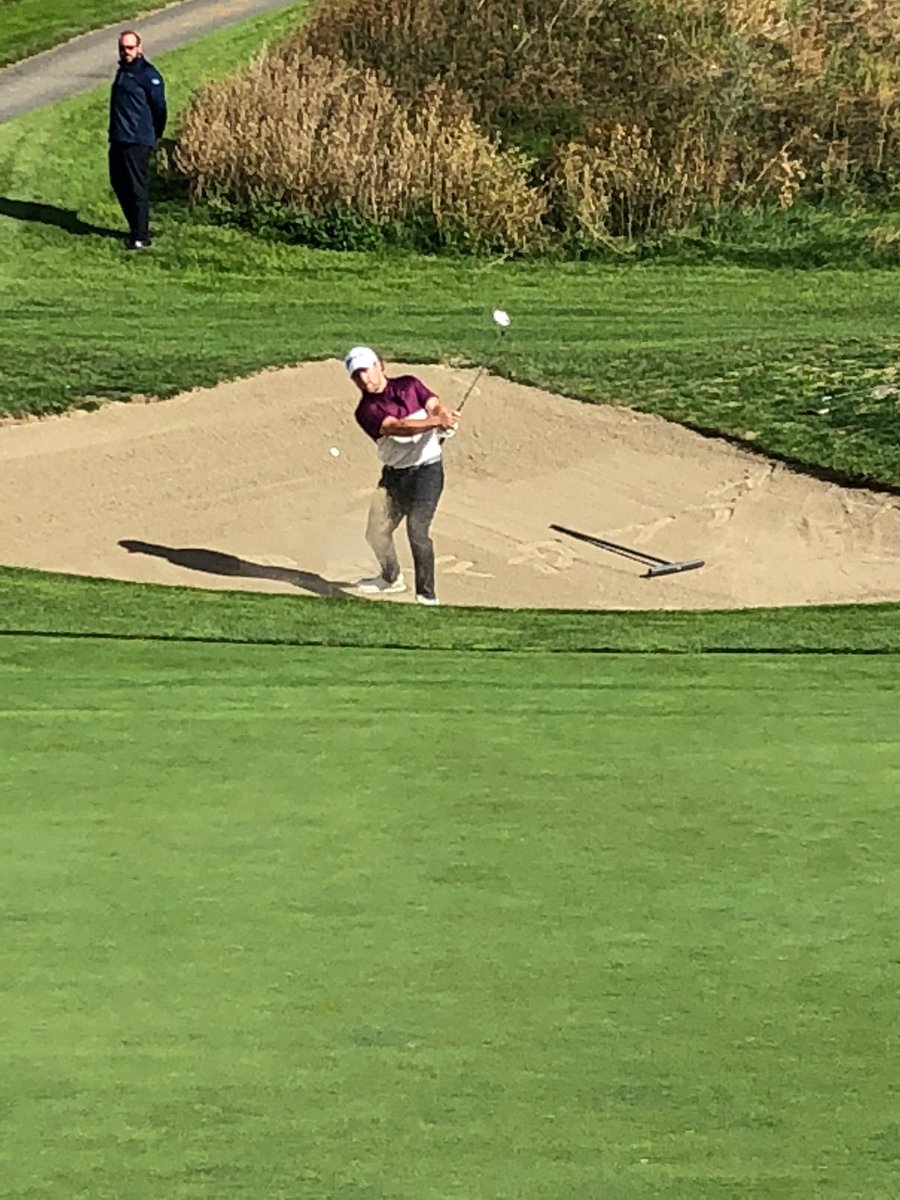 Brian McDonald tweet media