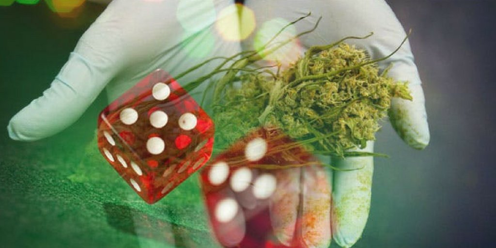 Are you a lover of adult content, cannabis, and gambling? Well then welcome home.