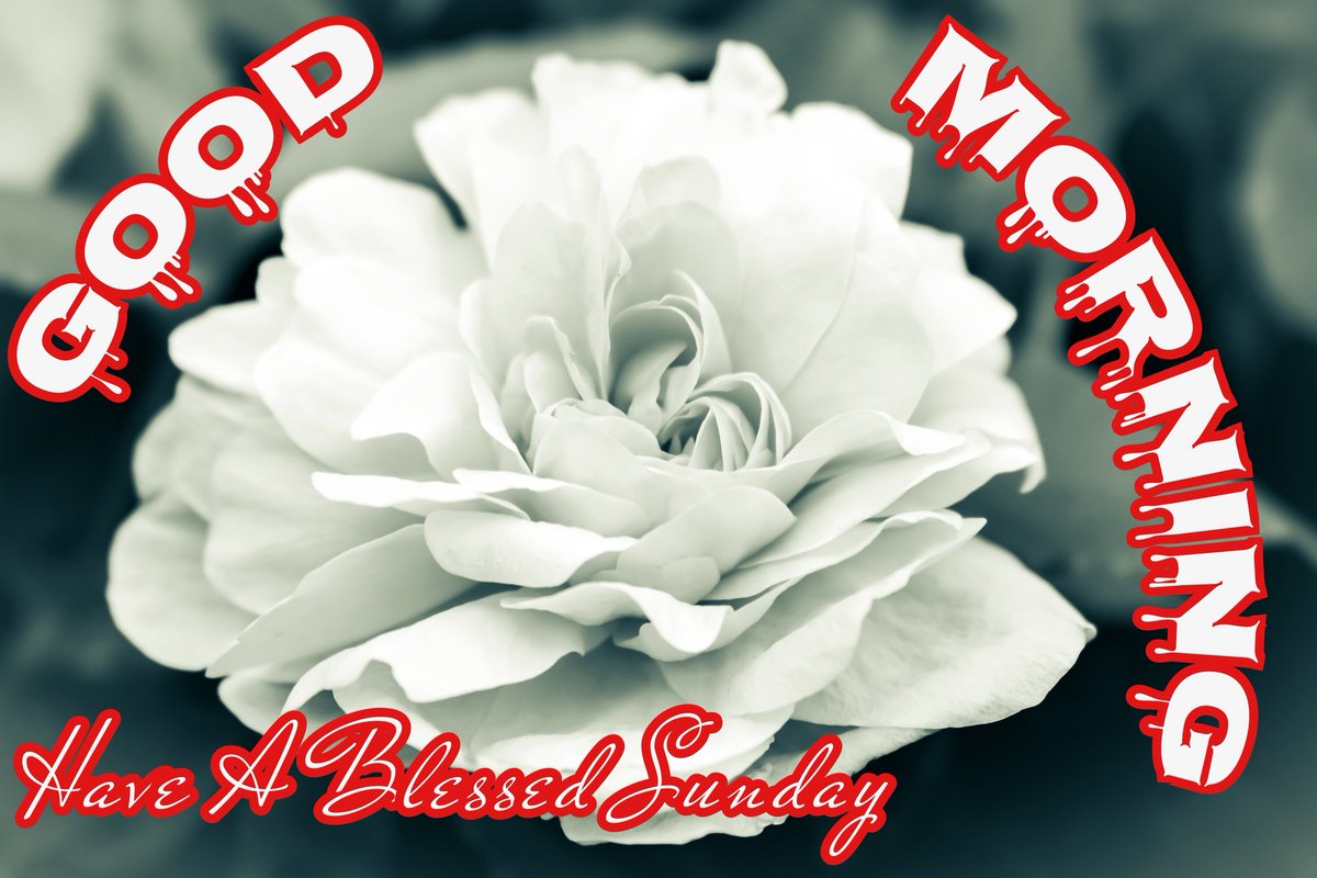 Sanjeev Sharma On Twitter Good Morning To All My Friends Have A