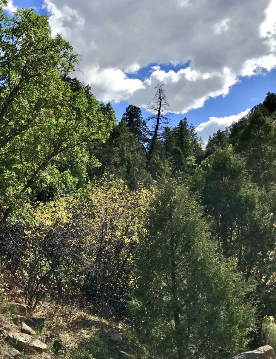 cbeckwith03's tweet photo. Hello Fall 🍁 &amp; hello Colorado #colorfuColorado #fallfoliage #firstdayofautumn #fall2018 #FallColors https://t.co/pNgUdLRPMT