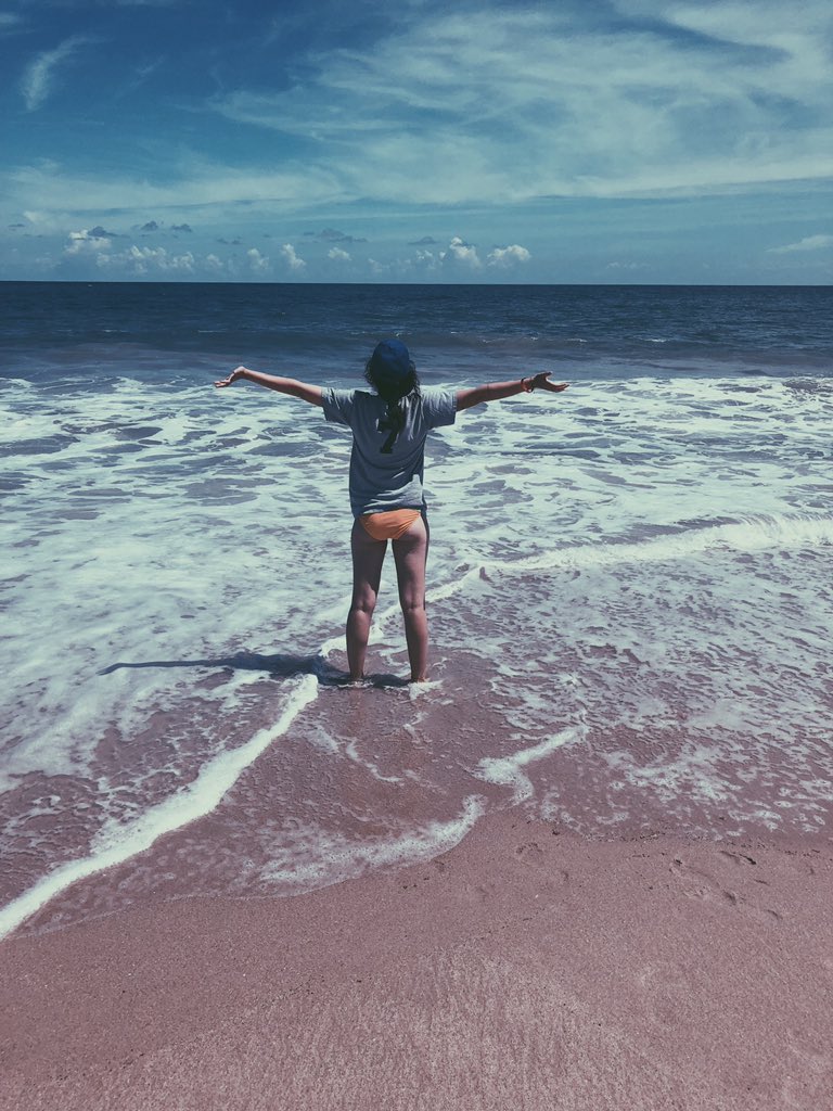 Cheyanne_rhode's tweet photo. florida is kind of awesome https://t.co/Hk58RTNX9o