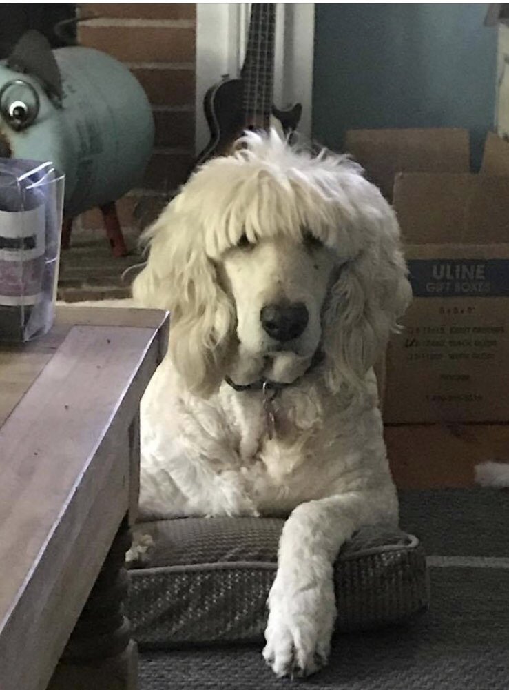 Brianna Gallett On Twitter Can T Stop Looking At This Picture Of