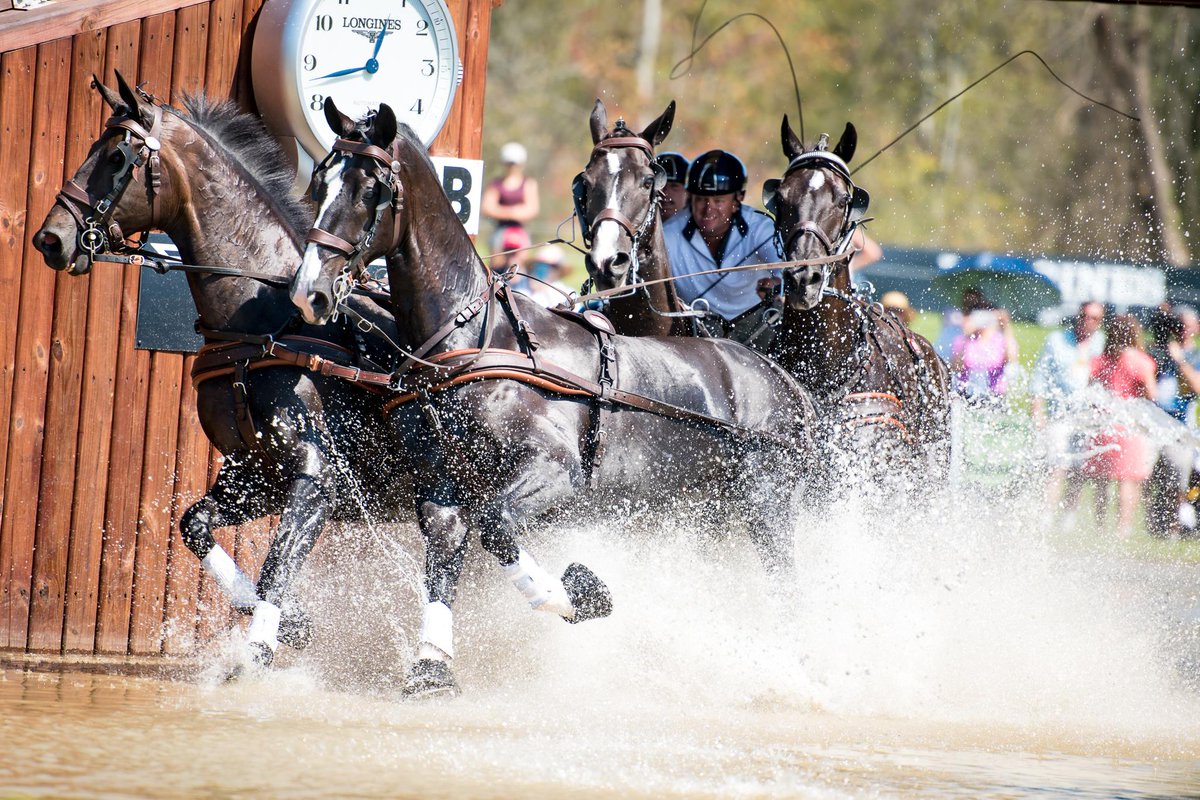 Tryon 2018 tweet media