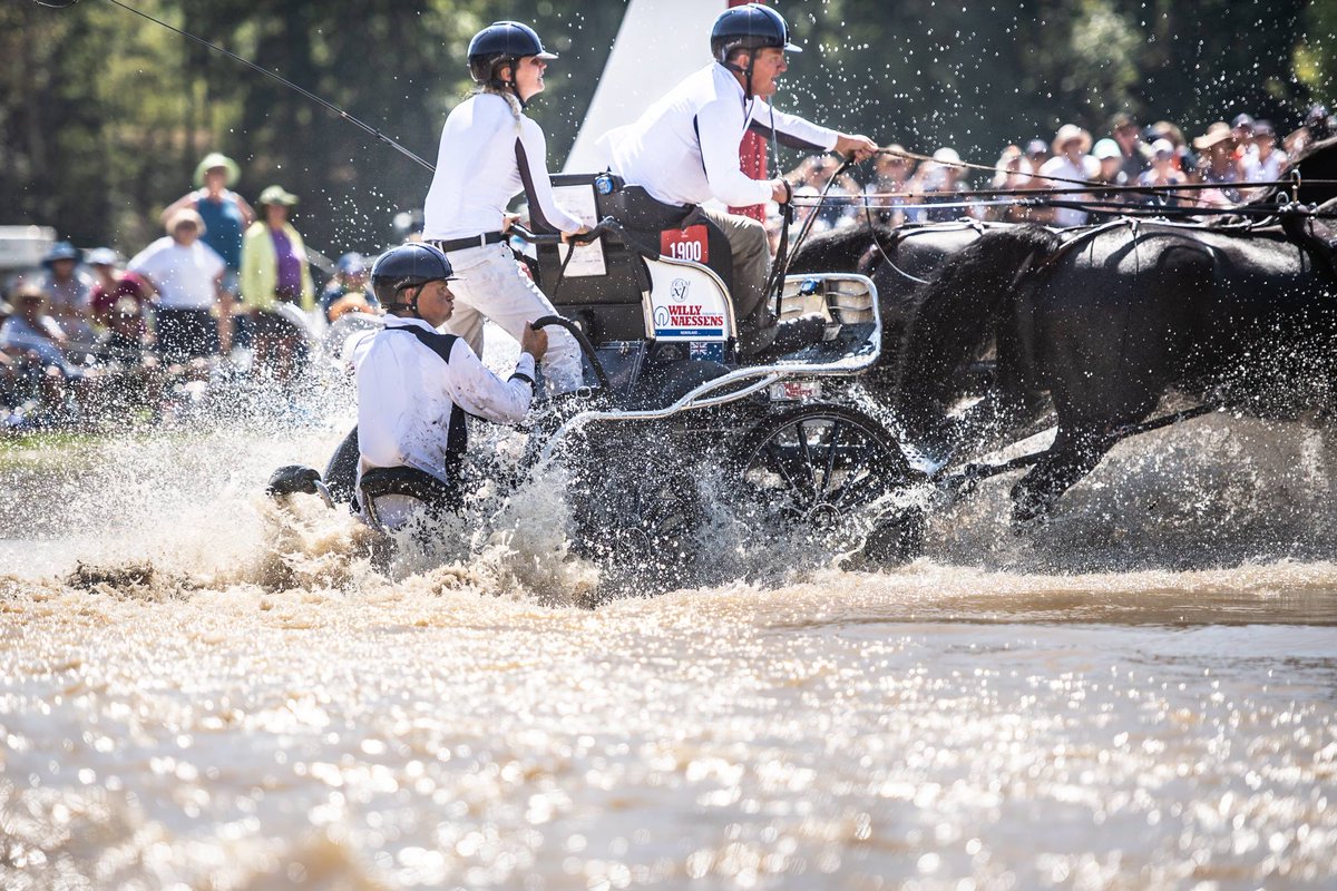 Tryon 2018 tweet media