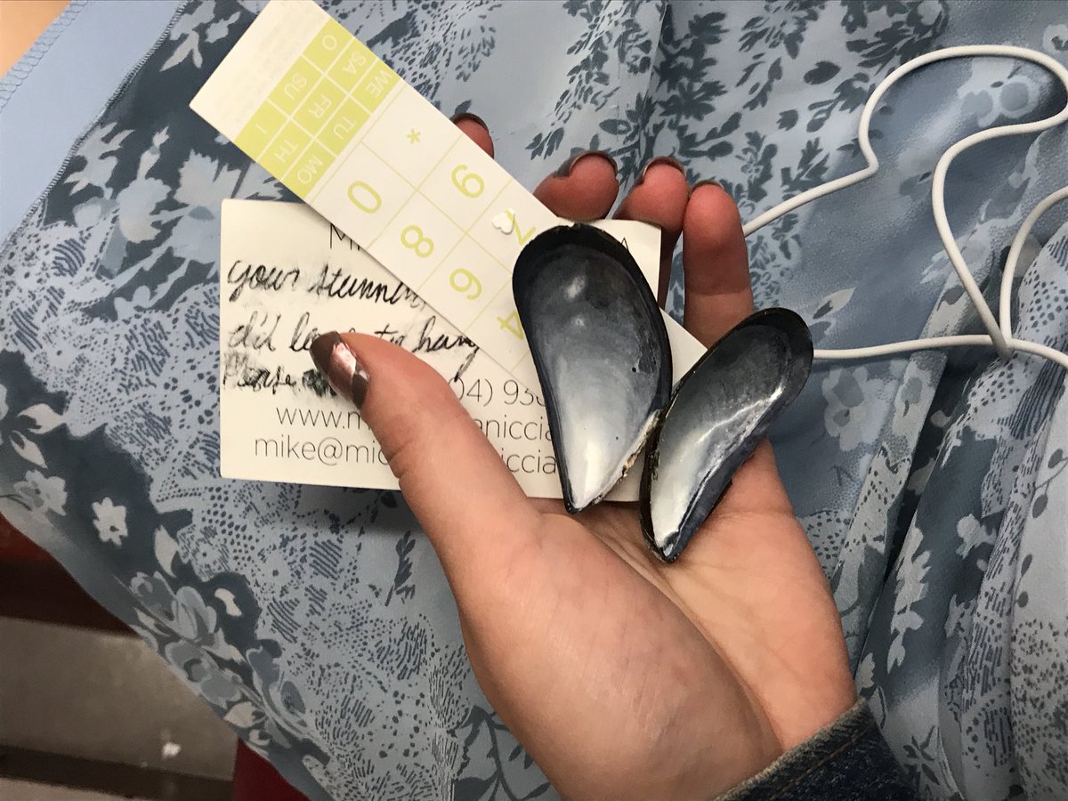 mementos from the last 24 hours