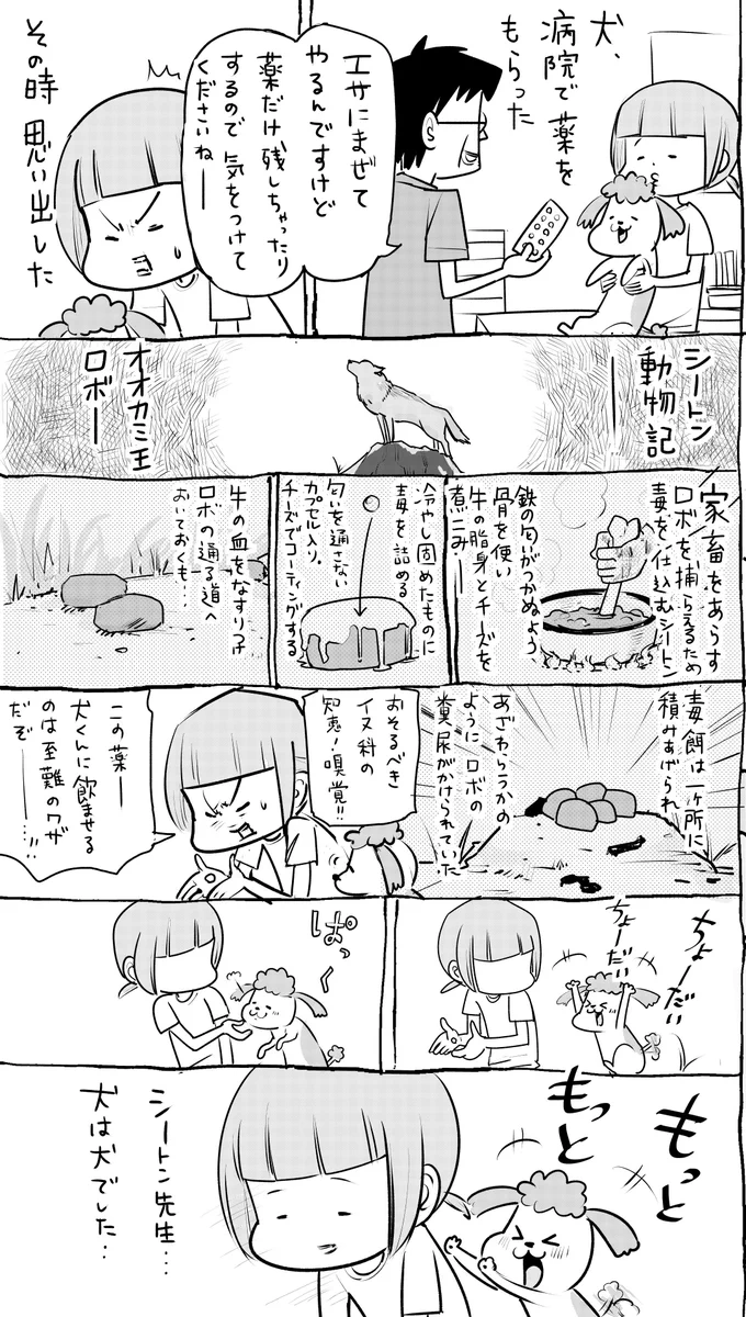 ペットにお薬あげるの苦戦www頭脳戦でも相手がいくつも上だったwww