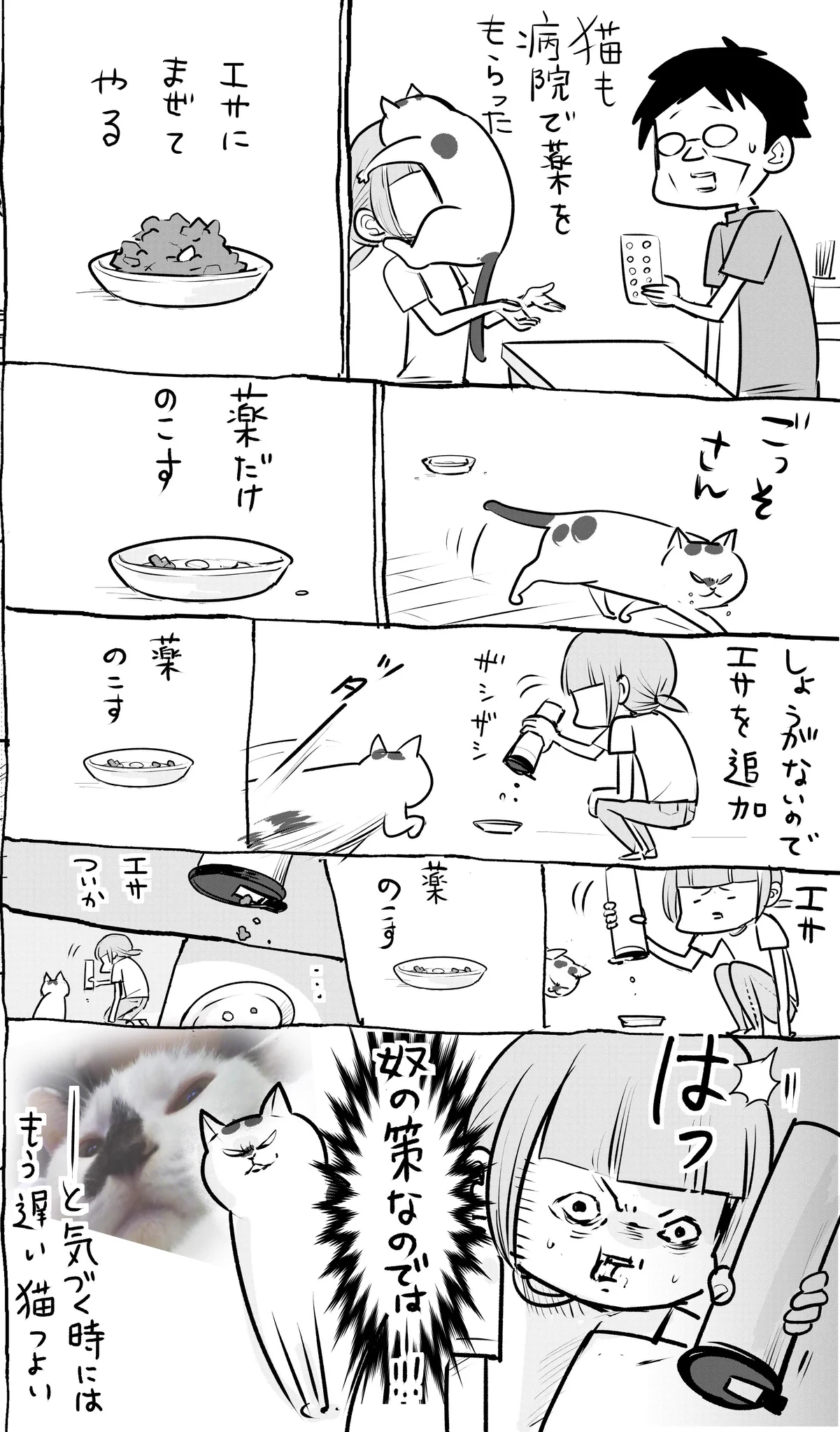 ペットにお薬あげるの苦戦www頭脳戦でも相手がいくつも上だったwww