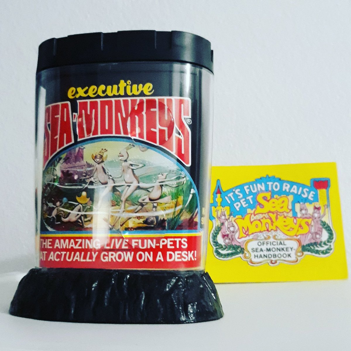 seamonkey kits seamonkey kits