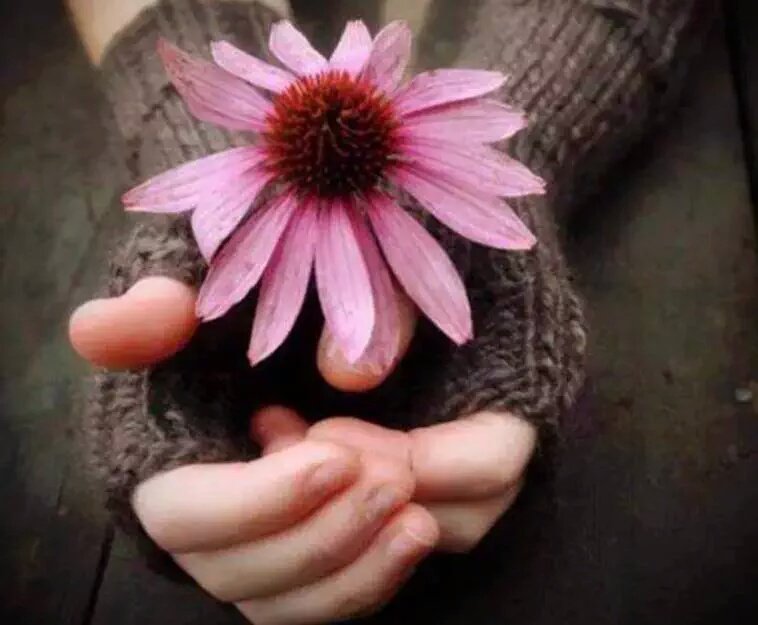 사람이

순수한 맛이 있어야
상대방을 움직이게 하고

착한 구석이 보어야
벽을 허물게 되고

따뜻한 면을 느껴야
정을 쌓게 되고

믿음을 심어 주어야
가까워지고 싶어지고

진실한 마음이 보여야
마음을 열게 되는 것 이다