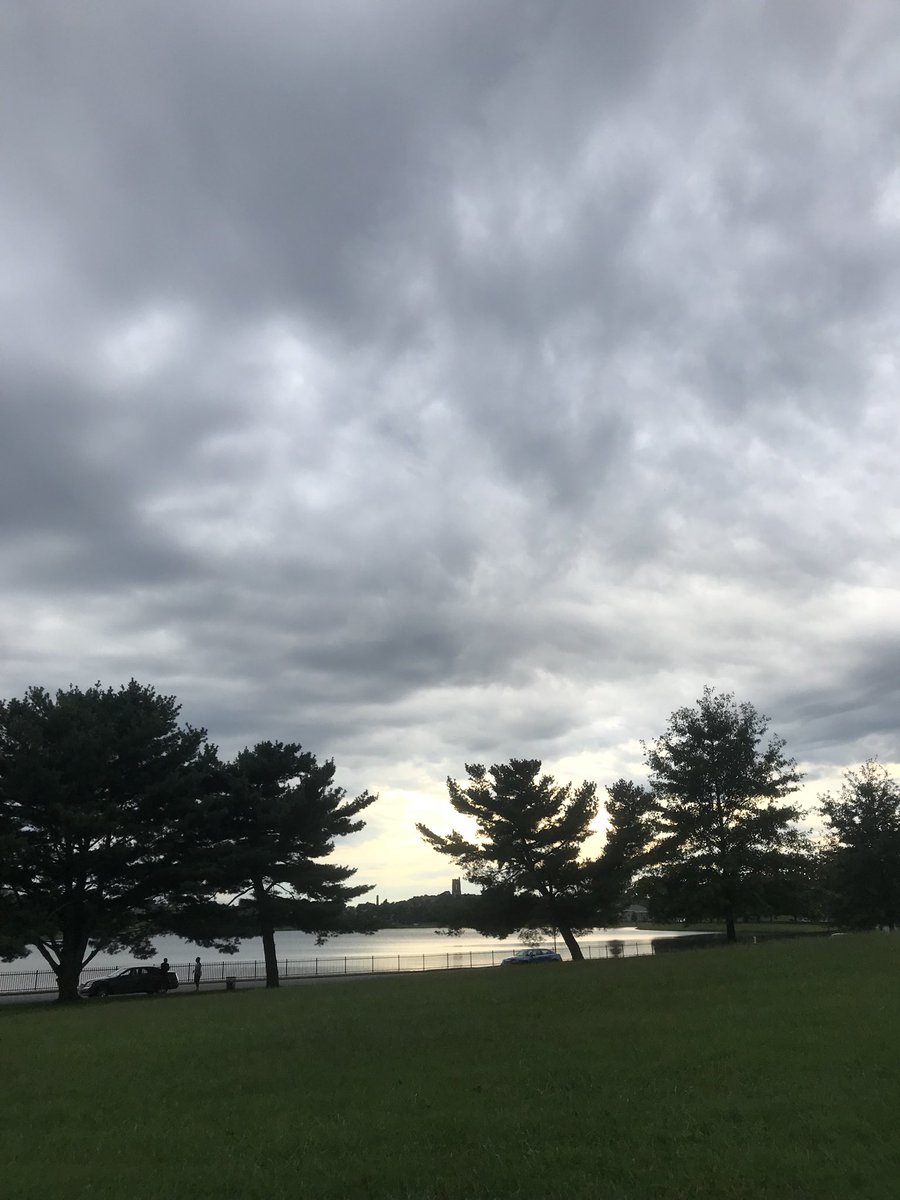 OanaBrooks's tweet photo. These #rescuedogs love their daily #LakeMontebello walks! #MyBmore #AdoptDontShop #SaveThemAll #PennyandEddie #Baltimoredogs https://t.co/V1GUV054uO