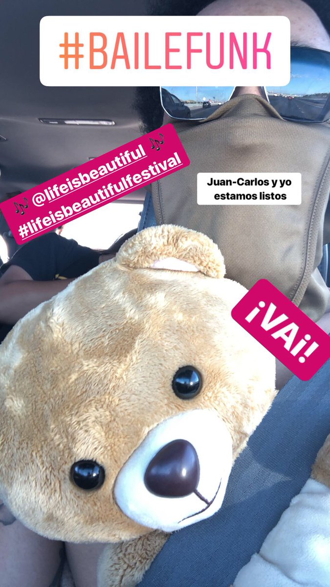 Instagram.com/Baile.Bear