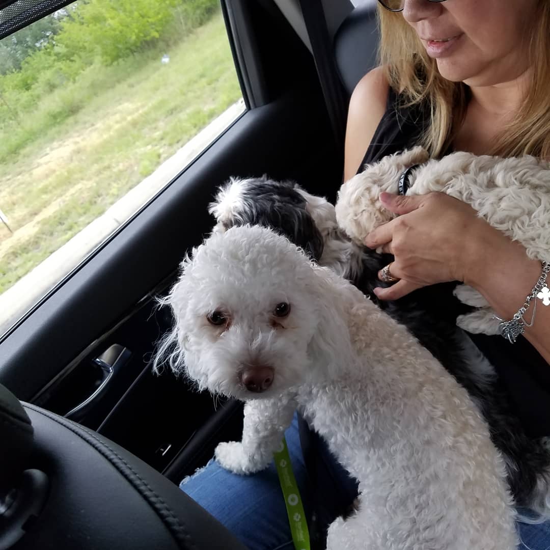 The look Maddie gave me when asking if she was adopted. And the look Rudy gave me when I told her that her 2 white brothers were Lol.