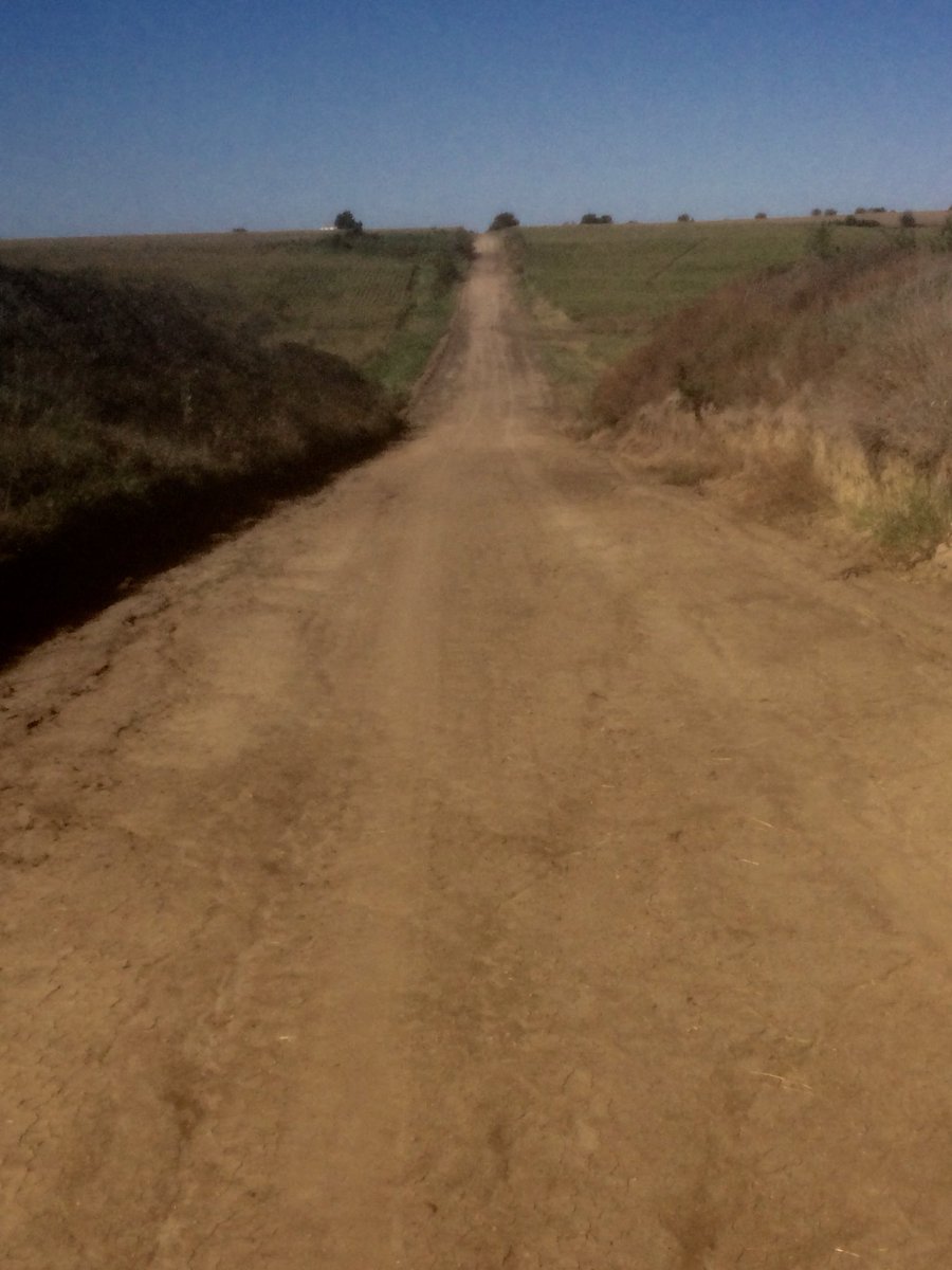 markvarner09's tweet photo. Beautifully cool morning for a ten mile run (48 with bright sunshine). Even had a spectator #runningwiththecows https://t.co/Adm6PNgPbc