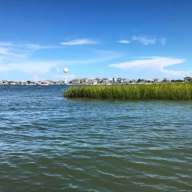 CapeFearSUP's tweet photo. Fall weather is right around the corner! 🍂🌞🤙🏼 Enjoy it on the water, you won't regret it! #LoveToSUP 
#AutumnEquinox #WrightsvilleBeach #OceanLovers https://t.co/lIIvTvGYwp