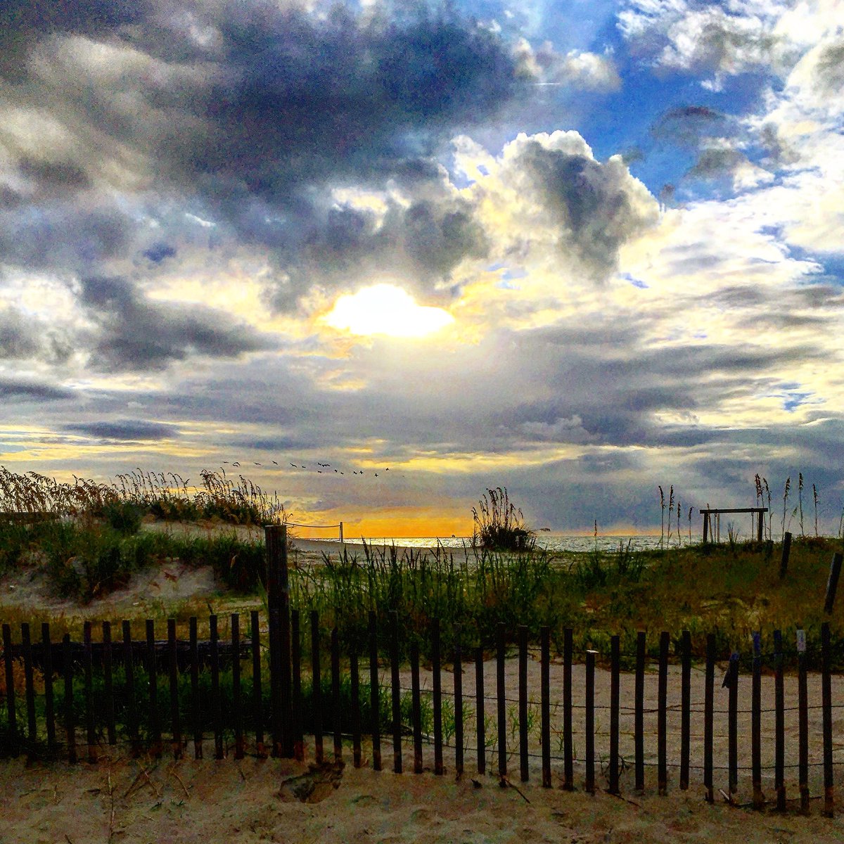 Early morning sunrise 🌅