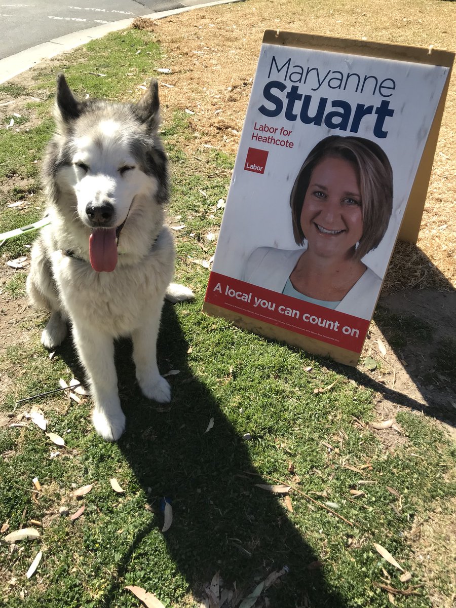 Today is #DogsInPoliticsDay and #KeepAusPetFriendly. 
So happy to support. Meet my friend, Jed!