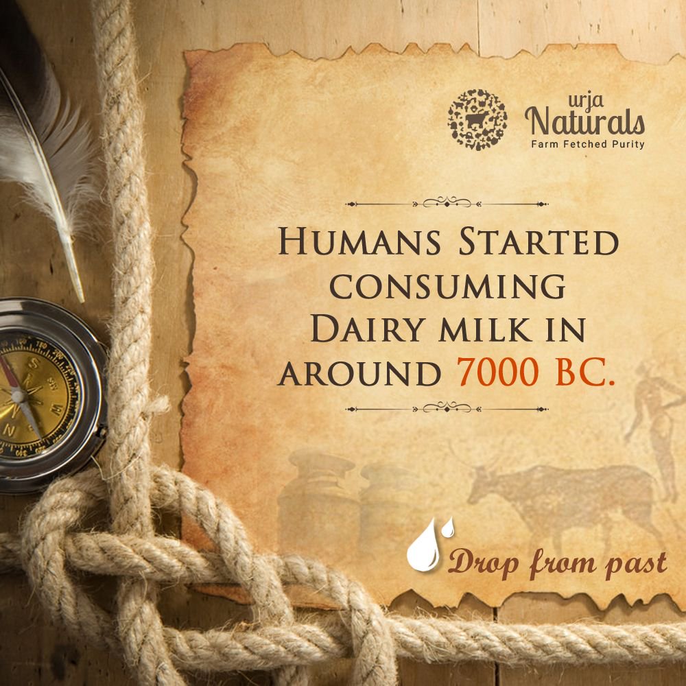 UrjaNaturals's tweet photo. Milk has been man's trusted companion right from the beginning #UrjaNaturals #OrganicMilk #DropFromPast #MilkFacts https://t.co/4hgUiKfIYA