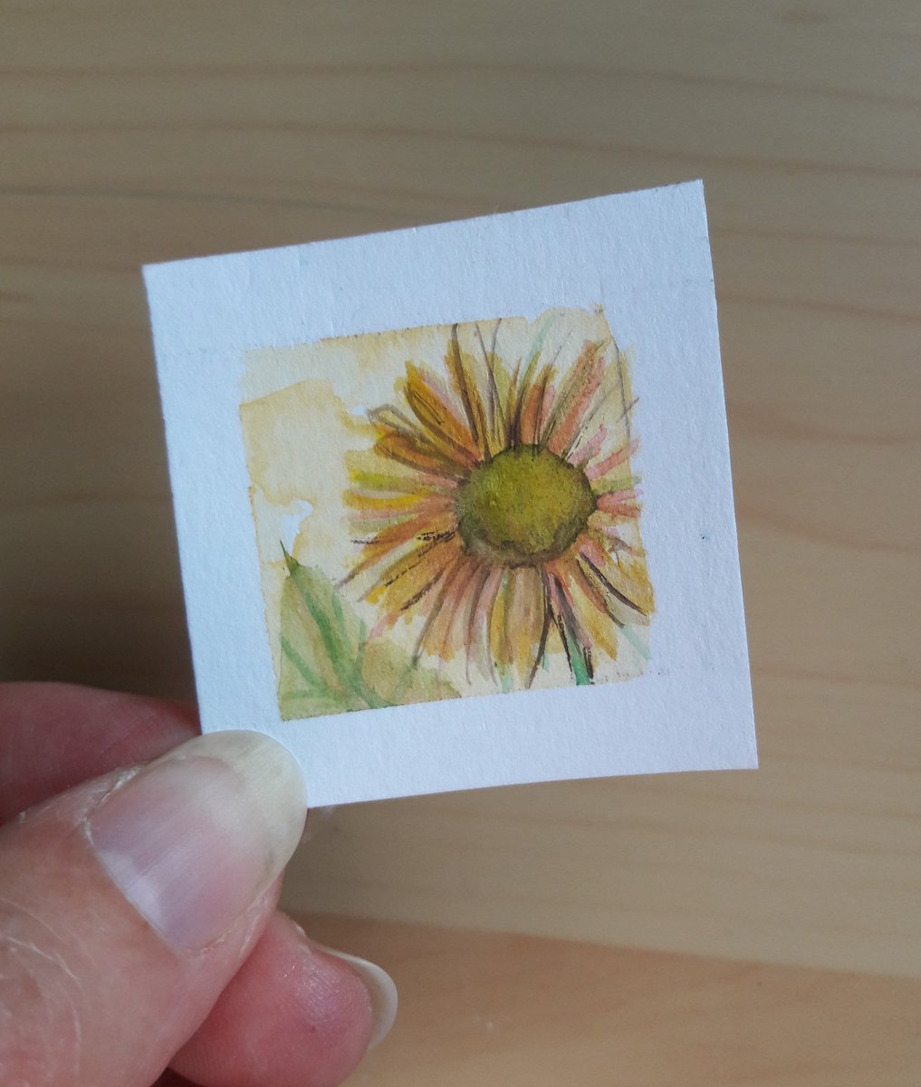 SallyJTaylor's tweet photo. #Day22 #DrawingADay A Sunflower
@illustrationhq #johnVernonLord #september #illustration #draweveryday #watercolour #landscape #landscapepainting #seascape #skyscape #miniillio #hertshour #artlounge365 #lake #inches #hertsartists #hvaf #inchsquare #trees #sunflower https://t.co/1YecDlz47v