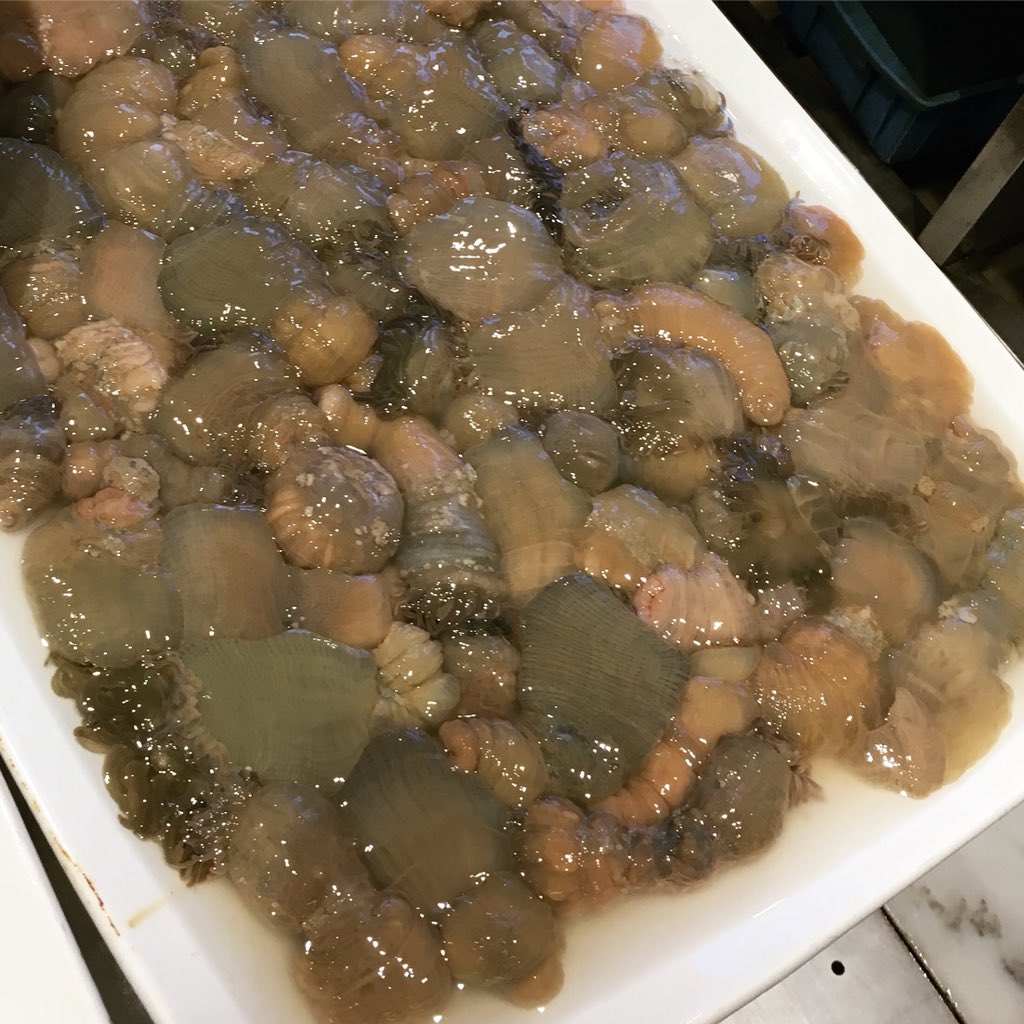 寧波 海鮮尽くしの旅