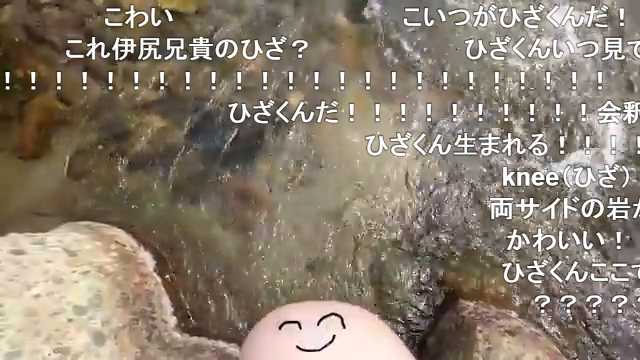 (*´╰︎╯︎`๓)♬︎ニコニコさん