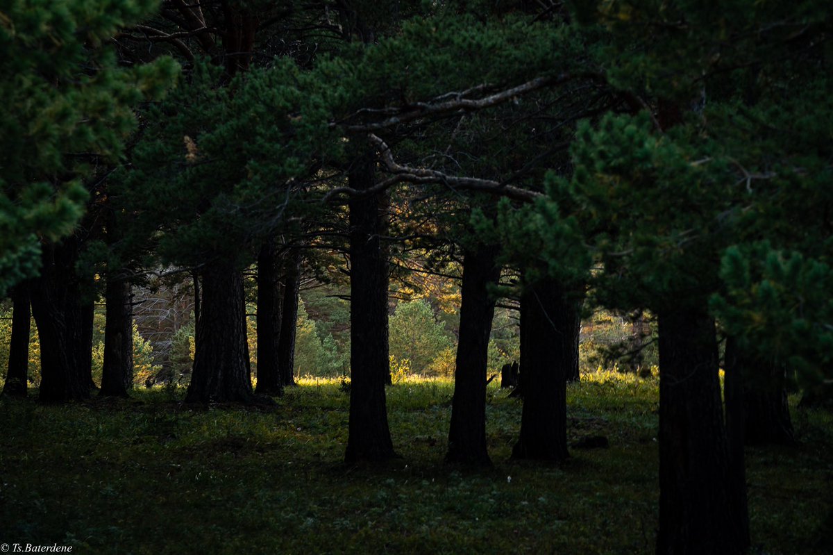 Ойд...
Дараа бүр гоё зураг авч үзүүлнэ ээ..хэхэ
