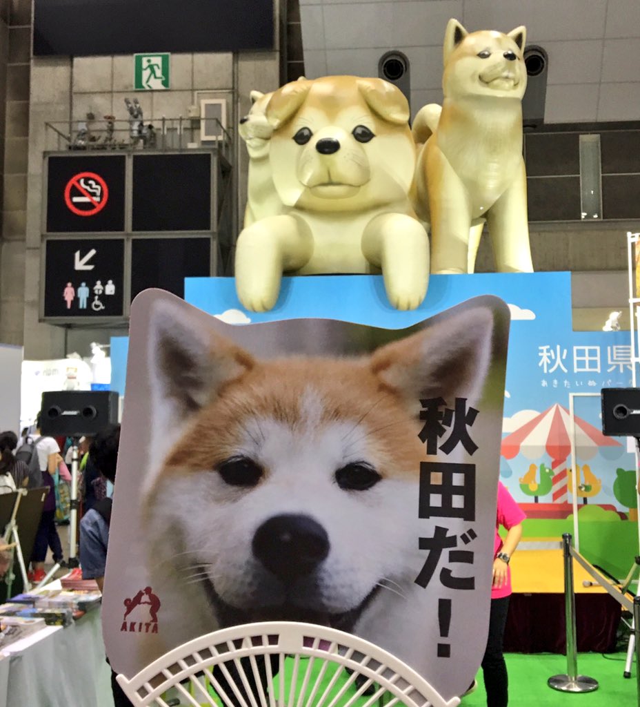 Kei よく見たらユノに秋田犬みたいな耳が生えてたのかわいい ツーリズムexpoジャパン Tej18 新羅免税店 Tej18 Tvxq 9月23日 東方神起 Tomorrow