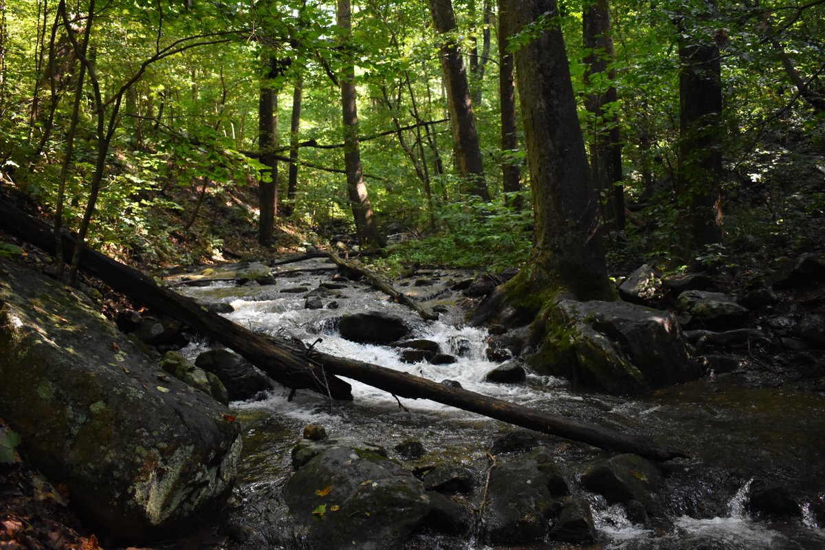 15 miles stand between me and completing the <a href="/AppalachianTrl/">Appalachian Trail</a> from Harpers Ferry,WV to Sky Meadow Park