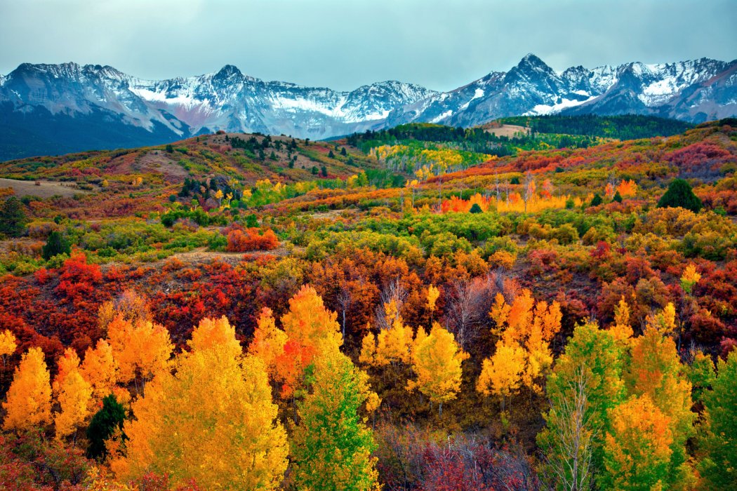 ColoProbs's tweet photo. F1RST DAY OF FALL 2018 ❤🍂🧡 https://t.co/yzHP4K8xMI