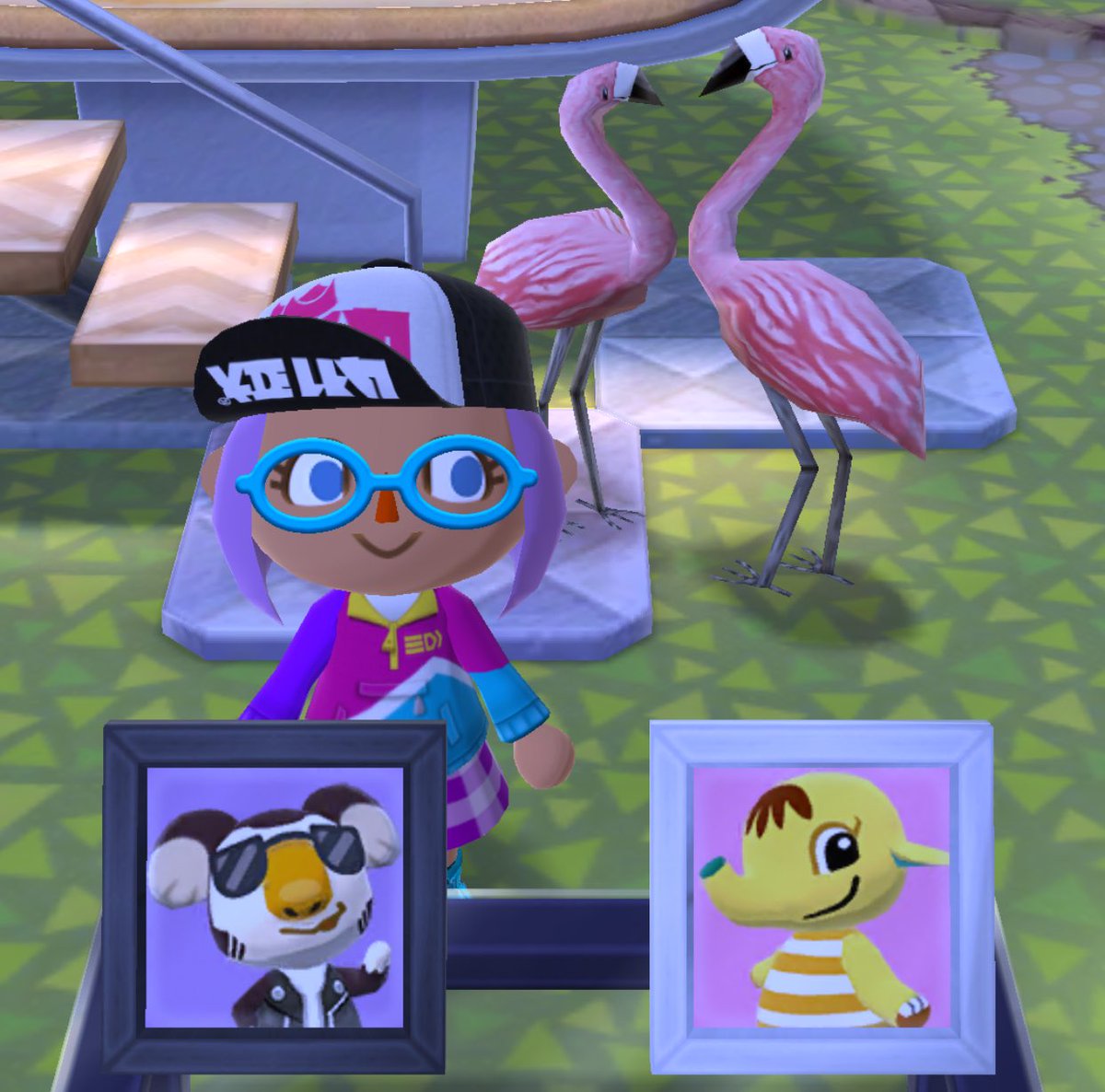 ktcub's tweet image. @CampWisp (what’s ur tw name?) Thnks for being a Gr8 new friend🤗 in #marketbox buying &amp;amp; everyday. We have some fav animals #Eugune🐨 &amp;amp; #Eloise🐘. Not so much a rockstar Koala, But w/ Katie koala= my aunt nickname🌸🦋, I couldn’t resist:)) #flamingos R pretty too💖 #acpc #newfan